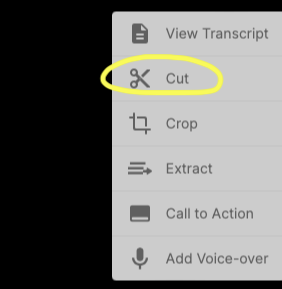 A screenshot of the options for tweaking footage in Visla, with the "Cut" option circled.